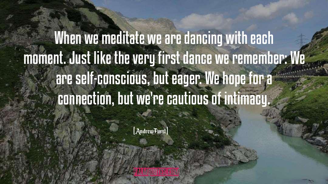 Andrew Furst Quotes: When we meditate we are