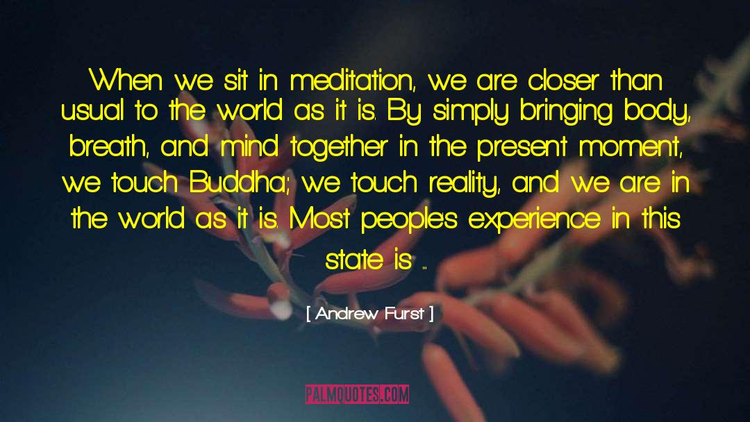Andrew Furst Quotes: When we sit in meditation,