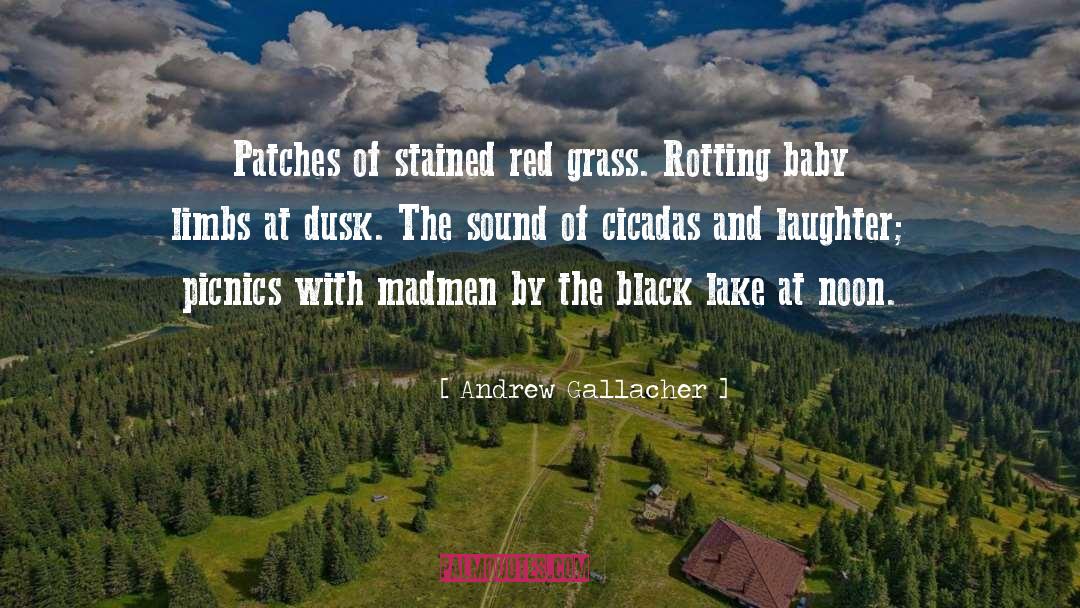 Andrew Gallacher Quotes: Patches of stained red grass.