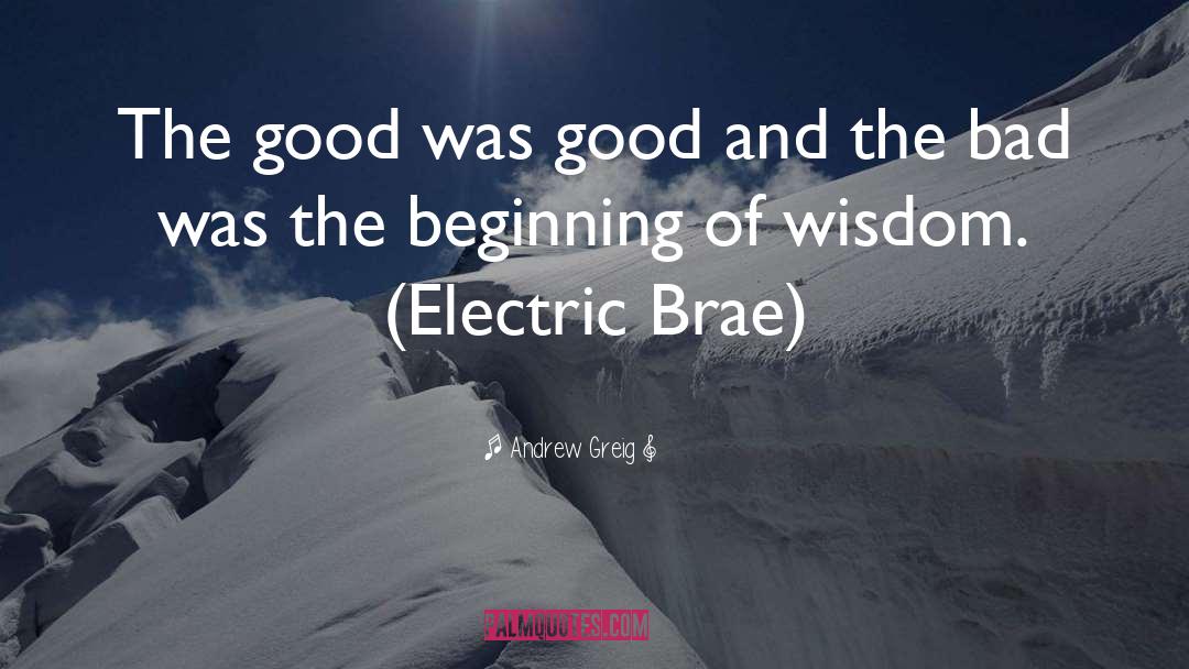 Andrew Greig Quotes: The good was good and