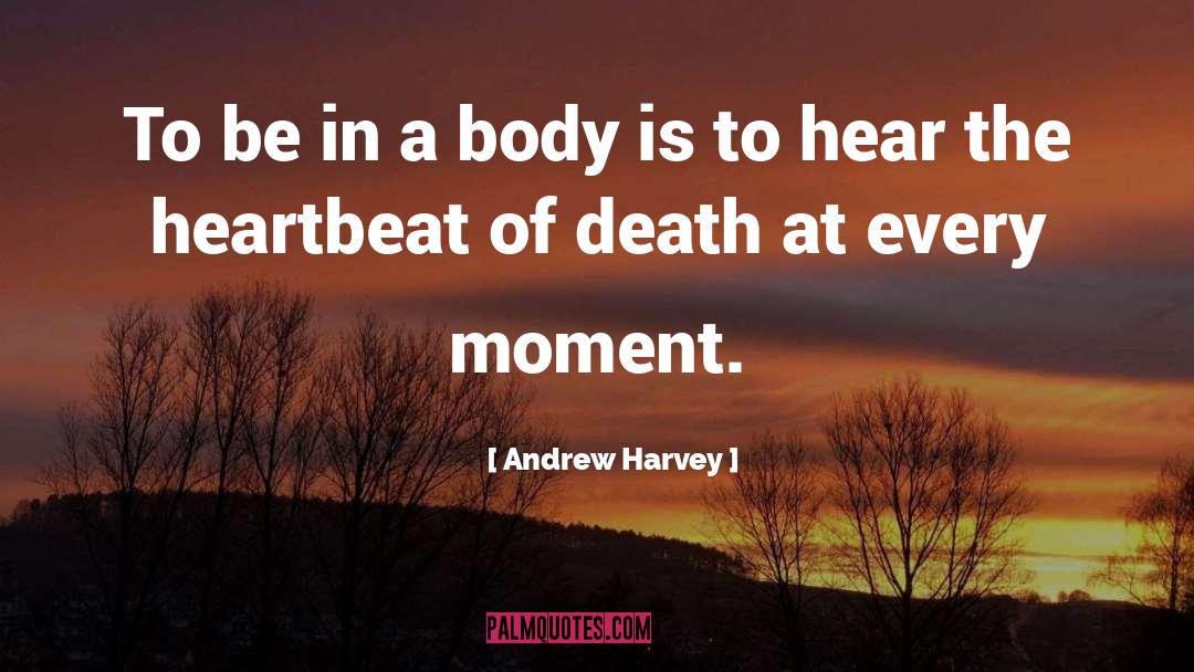 Andrew Harvey Quotes: To be in a body