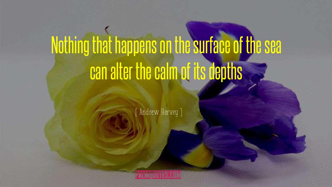 Andrew Harvey Quotes: Nothing that happens on the
