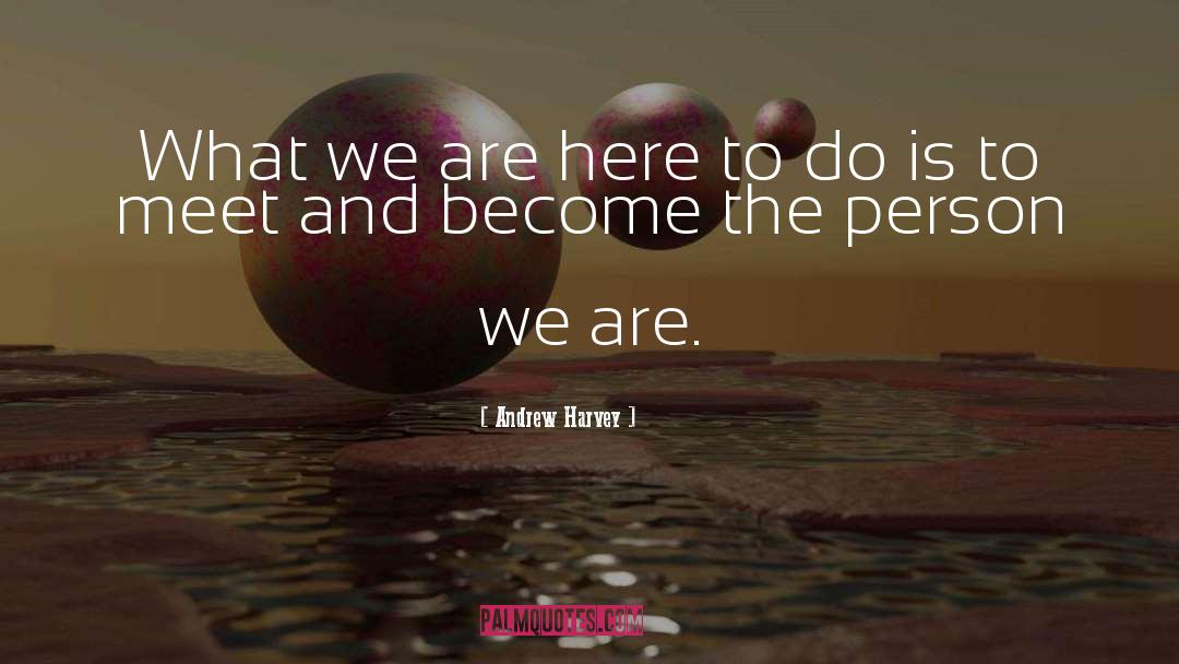 Andrew Harvey Quotes: What we are here to