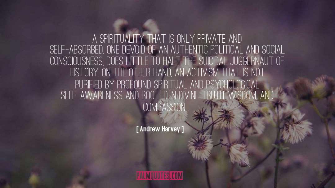 Andrew Harvey Quotes: A spirituality that is only