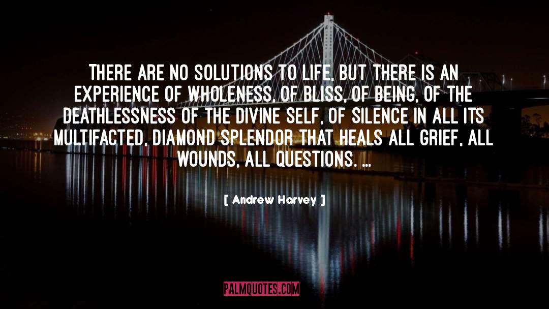 Andrew Harvey Quotes: There are no solutions to