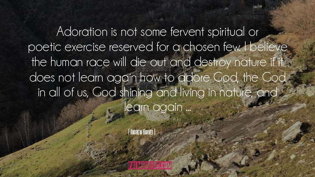 Andrew Harvey Quotes: Adoration is not some fervent