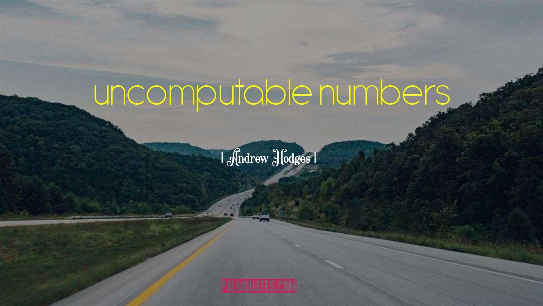 Andrew Hodges Quotes: uncomputable numbers