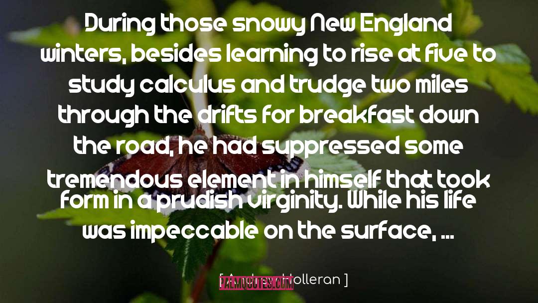 Andrew Holleran Quotes: During those snowy New England