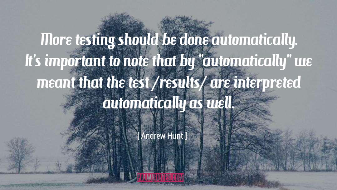 Andrew Hunt Quotes: More testing should be done