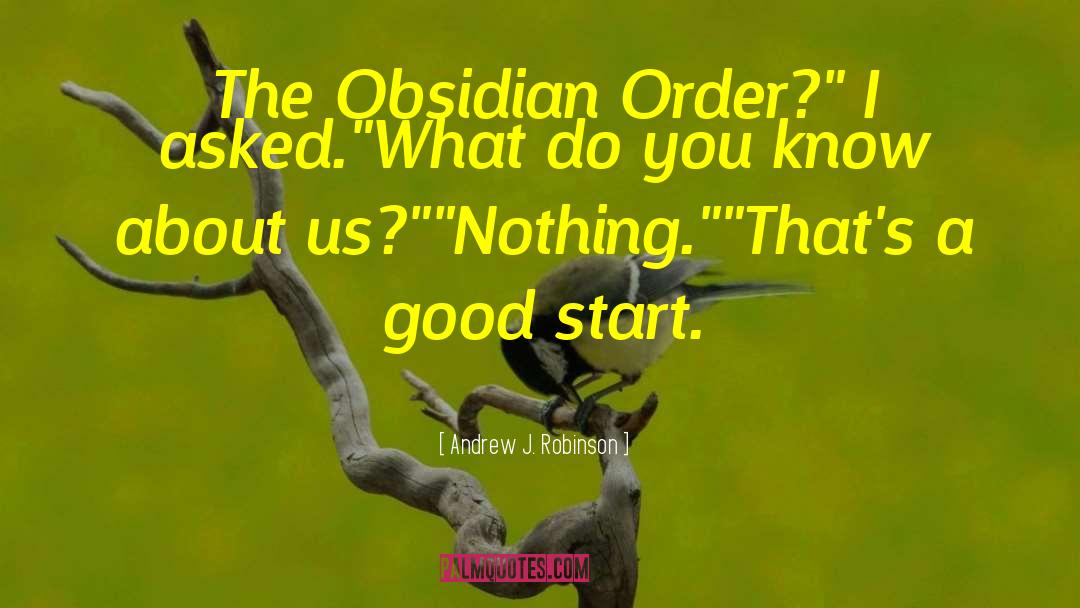 Andrew J. Robinson Quotes: The Obsidian Order?