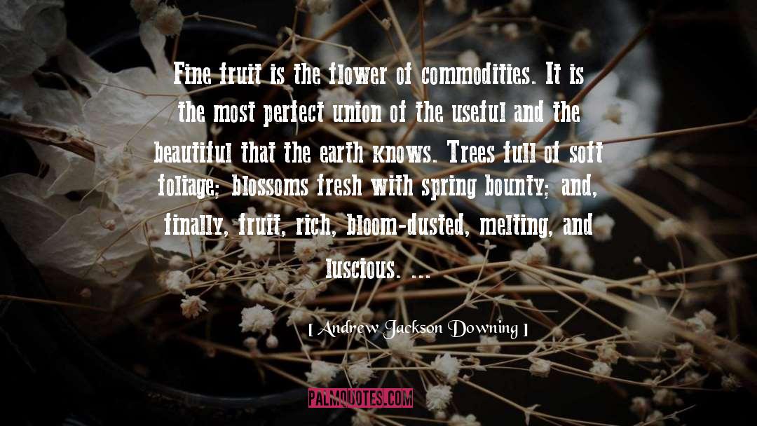 Andrew Jackson Downing Quotes: Fine fruit is the flower