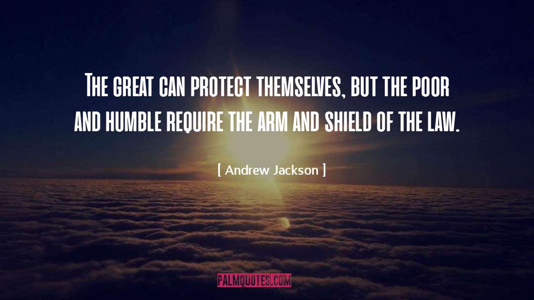 Andrew Jackson Quotes: The great can protect themselves,