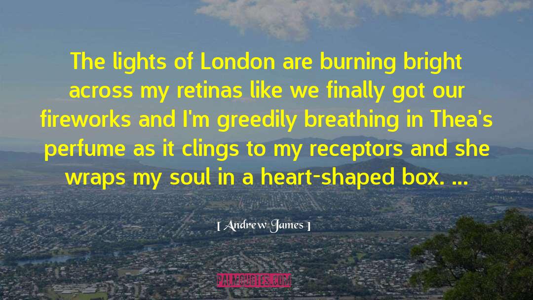 Andrew James Quotes: The lights of London are