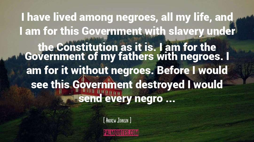 Andrew Johnson Quotes: I have lived among negroes,