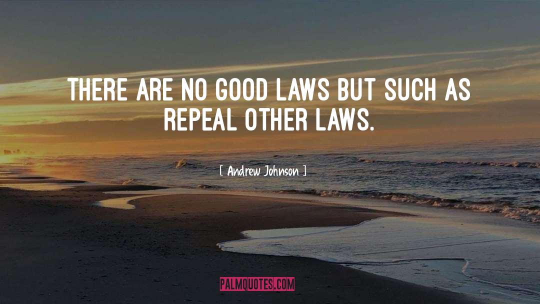 Andrew Johnson Quotes: There are no good laws