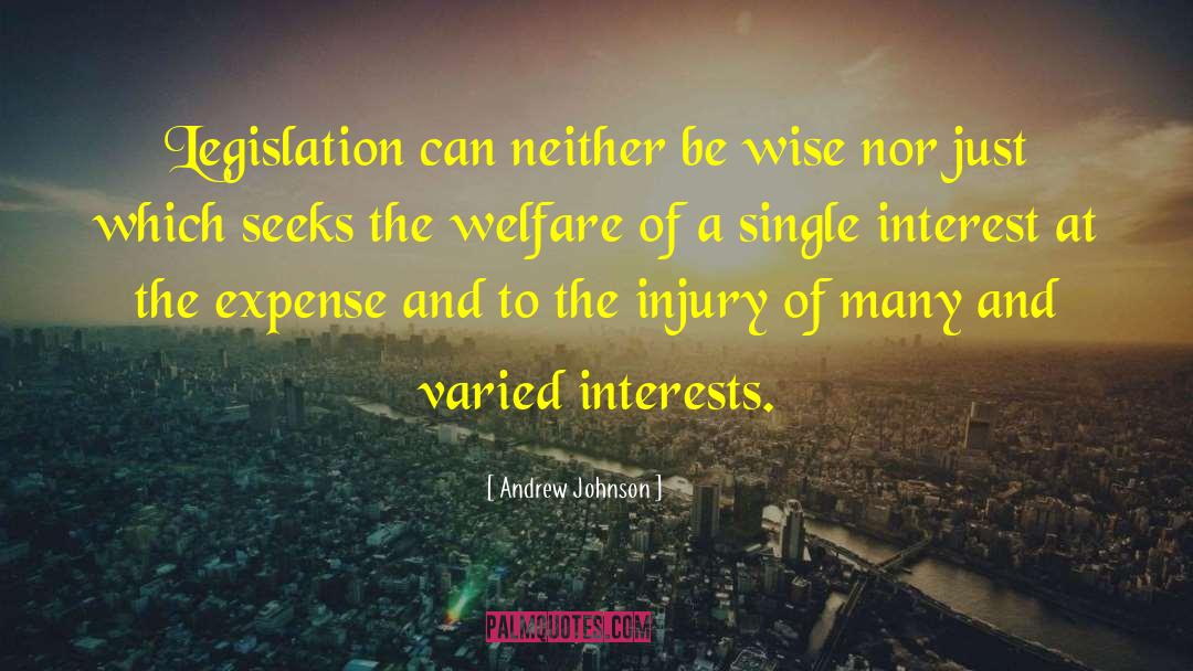 Andrew Johnson Quotes: Legislation can neither be wise