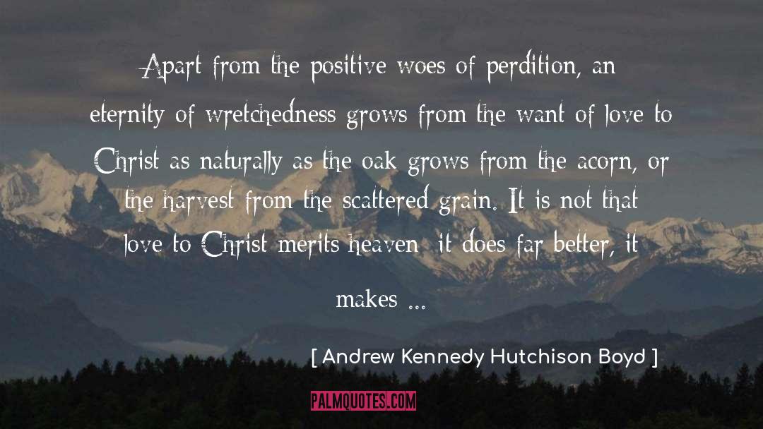 Andrew Kennedy Hutchison Boyd Quotes: Apart from the positive woes