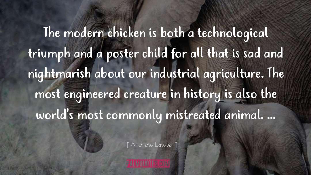 Andrew Lawler Quotes: The modern chicken is both