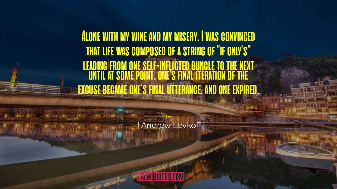 Andrew Levkoff Quotes: Alone with my wine and
