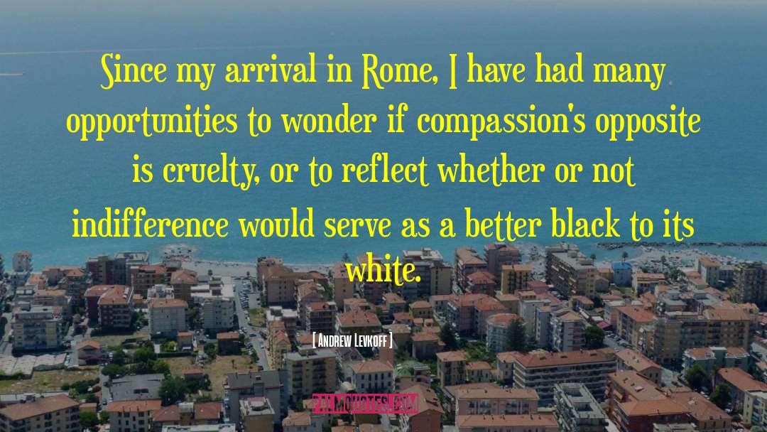 Andrew Levkoff Quotes: Since my arrival in Rome,