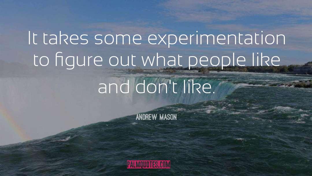 Andrew Mason Quotes: It takes some experimentation to