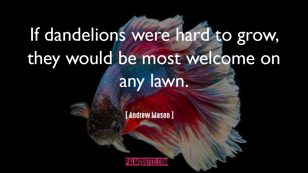 Andrew Mason Quotes: If dandelions were hard to