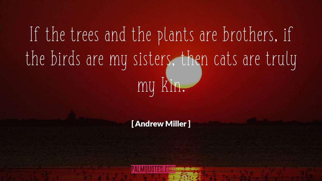 Andrew Miller Quotes: If the trees and the