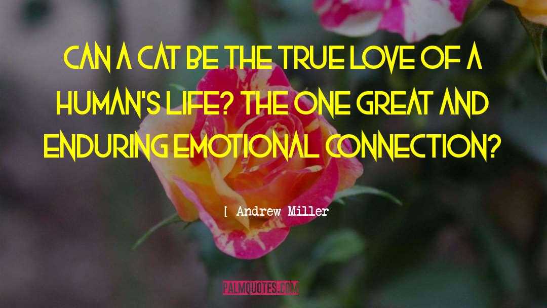 Andrew Miller Quotes: Can a cat be the