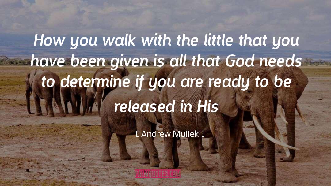 Andrew Mullek Quotes: How you walk with the