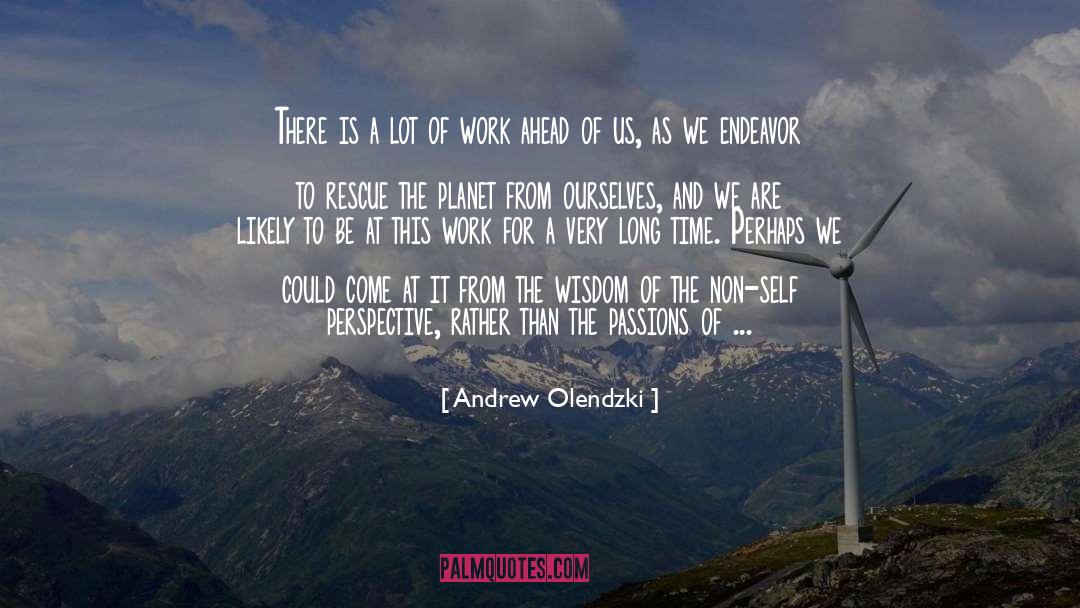 Andrew Olendzki Quotes: There is a lot of