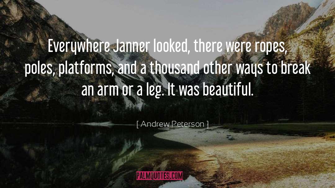 Andrew Peterson Quotes: Everywhere Janner looked, there were