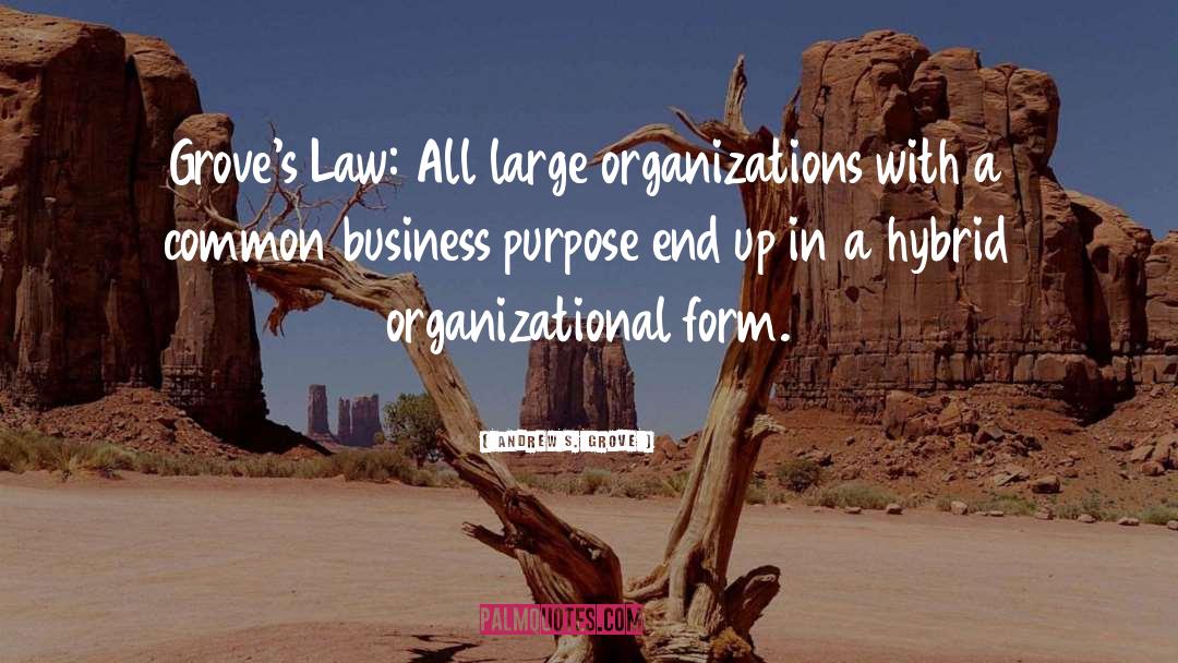Andrew S. Grove Quotes: Grove's Law: All large organizations