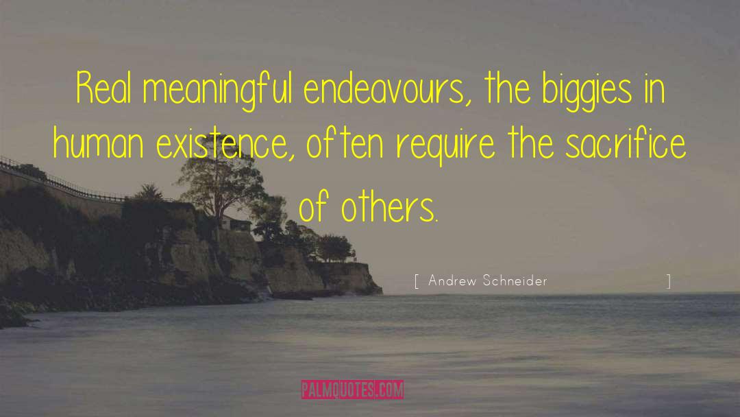 Andrew Schneider Quotes: Real meaningful endeavours, the biggies