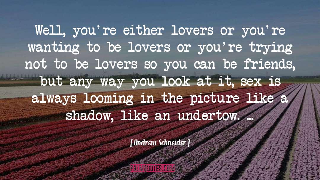 Andrew Schneider Quotes: Well, you're either lovers or