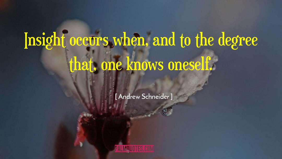 Andrew Schneider Quotes: Insight occurs when, and to