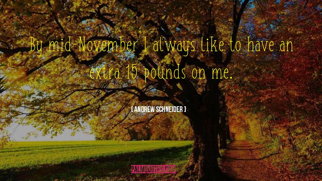 Andrew Schneider Quotes: By mid-November I always like