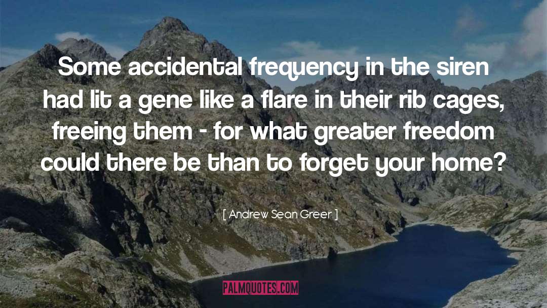 Andrew Sean Greer Quotes: Some accidental frequency in the