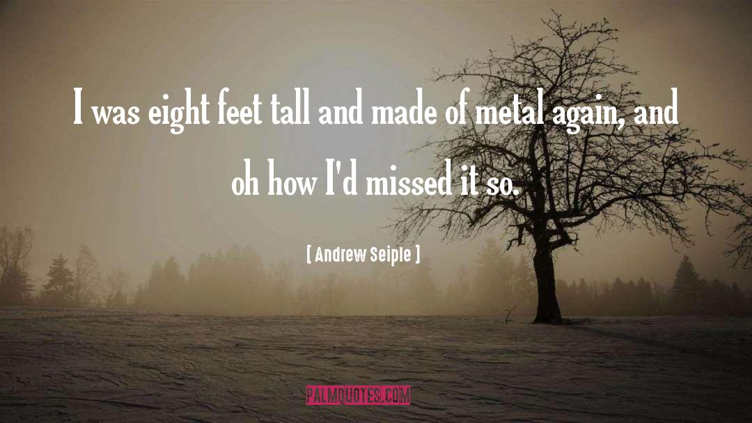 Andrew Seiple Quotes: I was eight feet tall