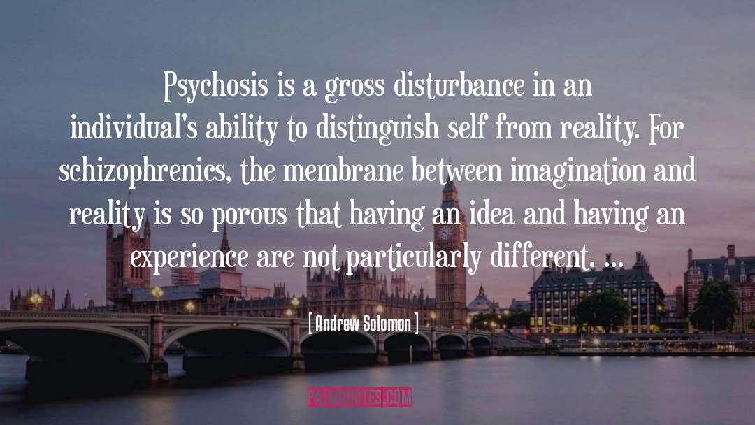 Andrew Solomon Quotes: Psychosis is a gross disturbance