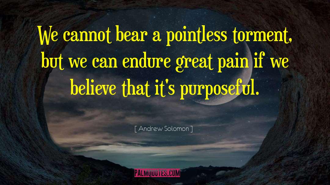 Andrew Solomon Quotes: We cannot bear a pointless