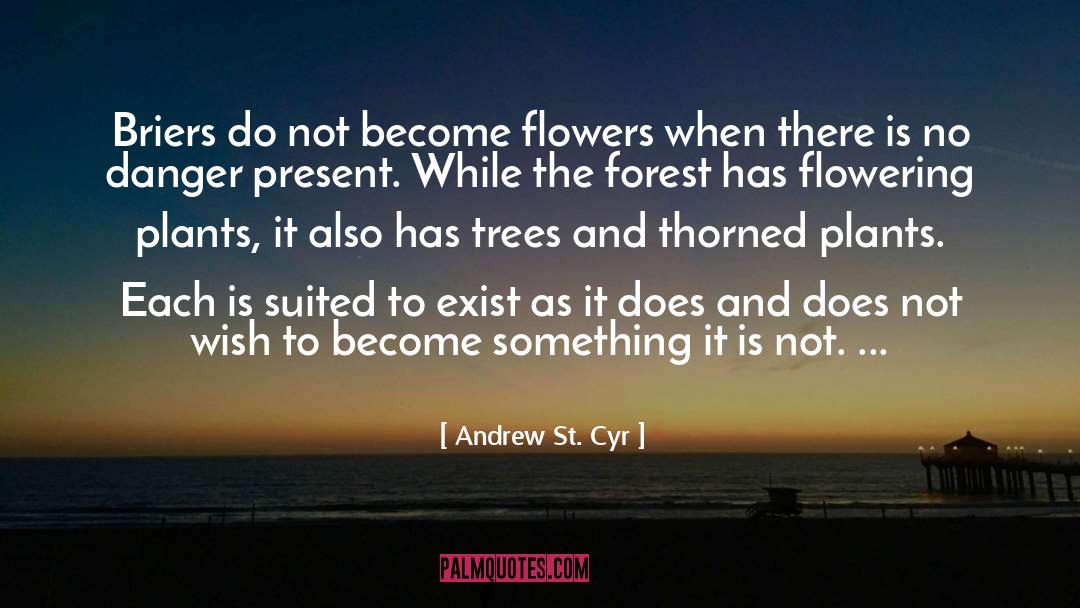 Andrew St. Cyr Quotes: Briers do not become flowers
