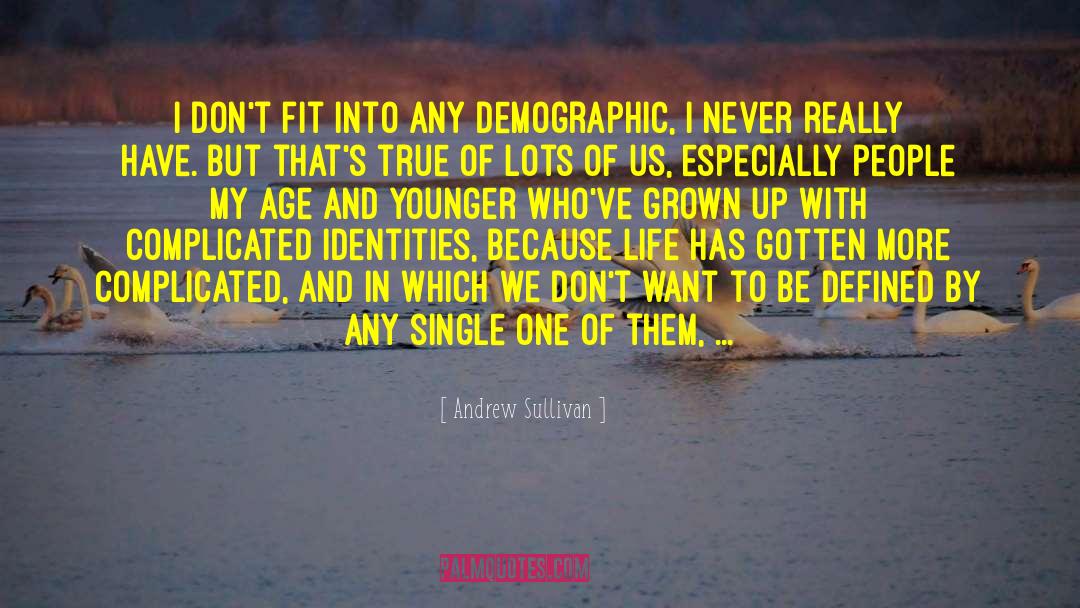 Andrew Sullivan Quotes: I don't fit into any