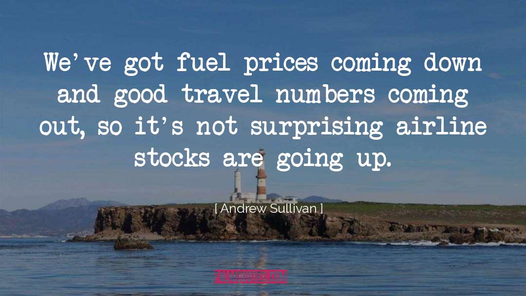 Andrew Sullivan Quotes: We've got fuel prices coming