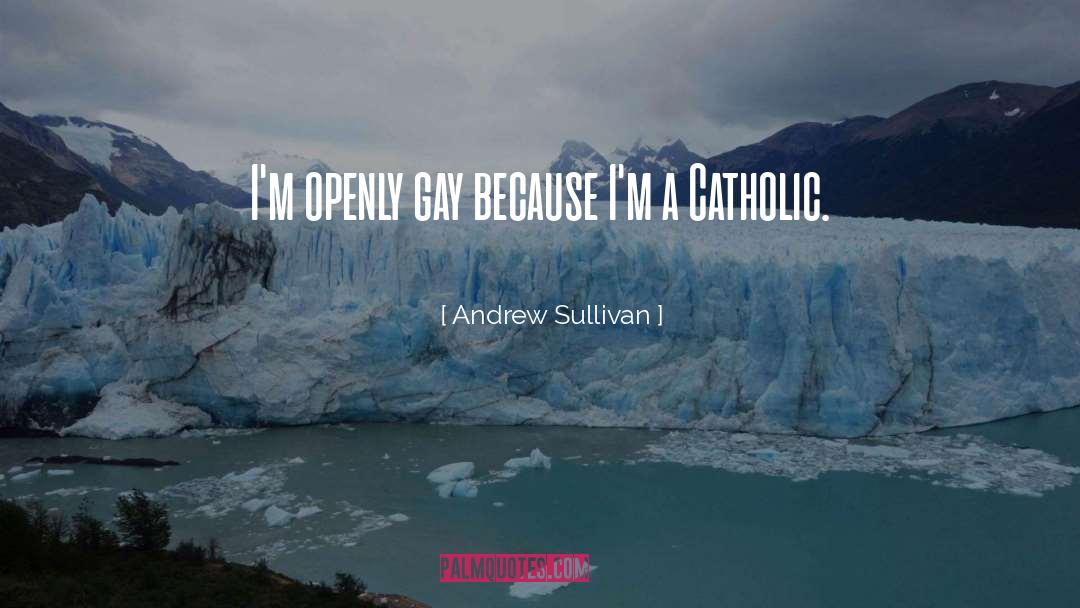 Andrew Sullivan Quotes: I'm openly gay because I'm