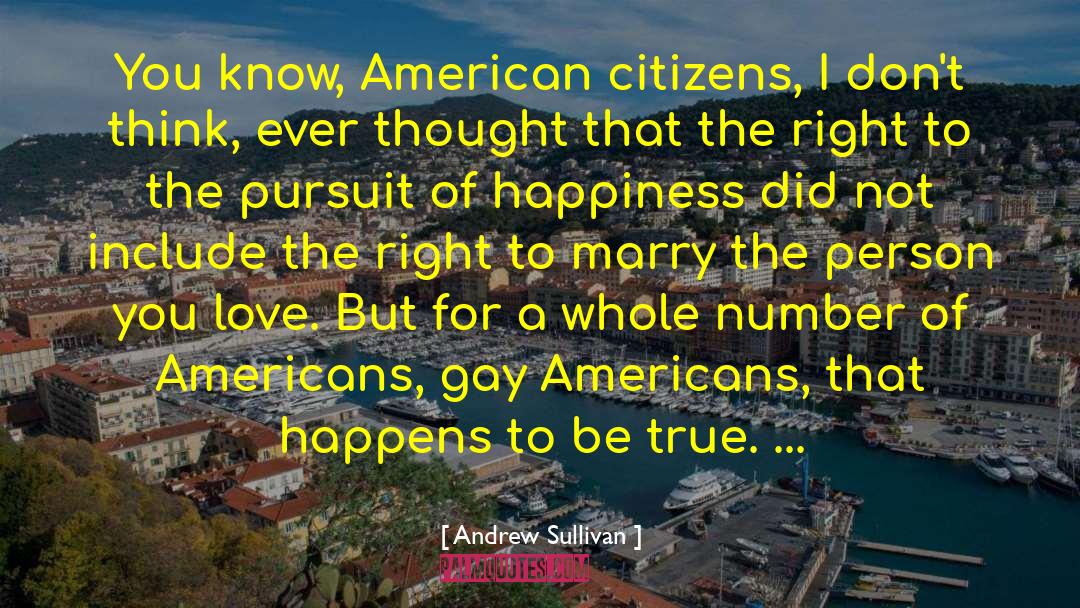 Andrew Sullivan Quotes: You know, American citizens, I