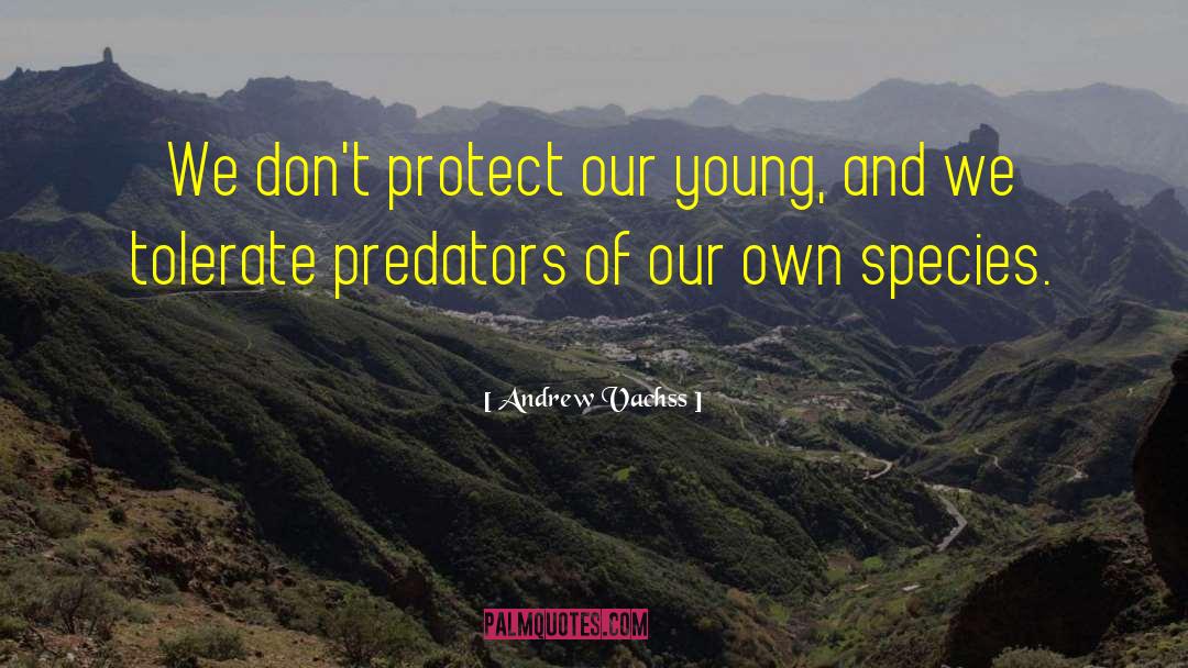 Andrew Vachss Quotes: We don't protect our young,