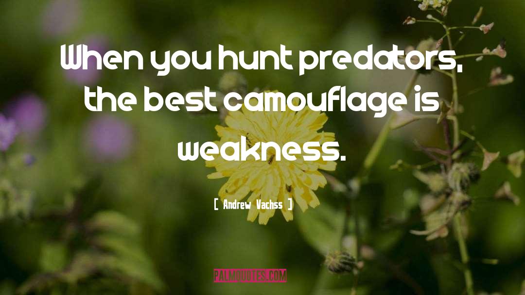 Andrew Vachss Quotes: When you hunt predators, the