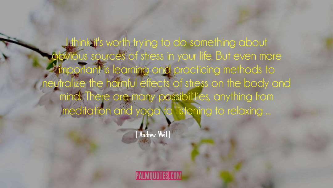 Andrew Weil Quotes: I think it's worth trying