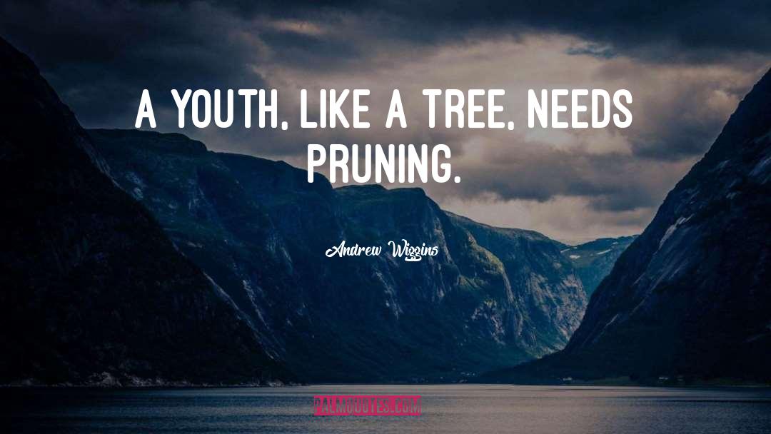 Andrew Wiggins Quotes: A youth, like a tree,