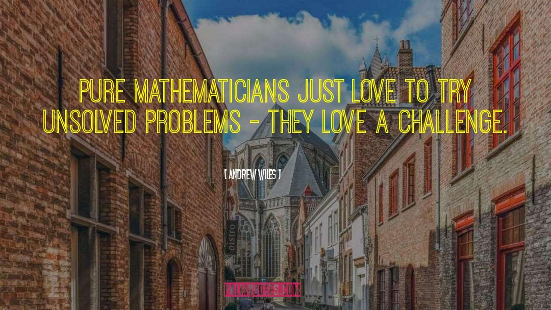 Andrew Wiles Quotes: Pure mathematicians just love to